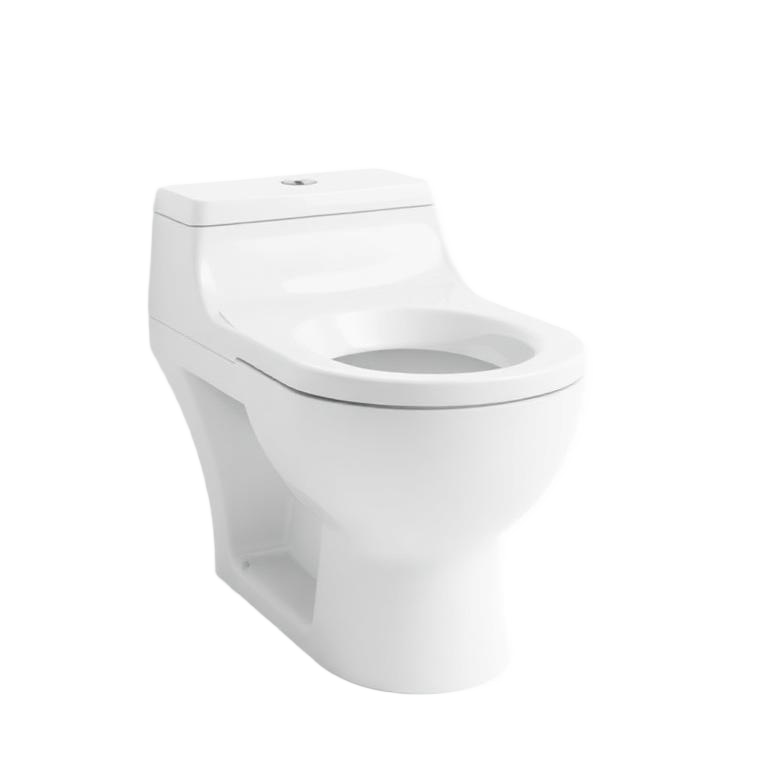 Modern toilet — installation and replacement service